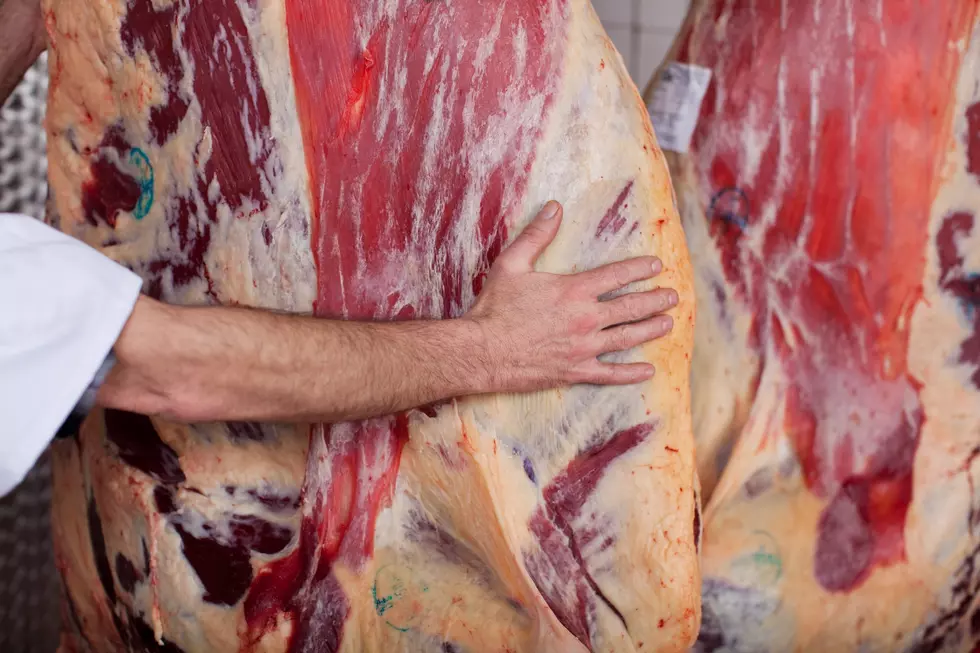 U.S.-China Summit Was Great News For American Beef, Halstrom Says