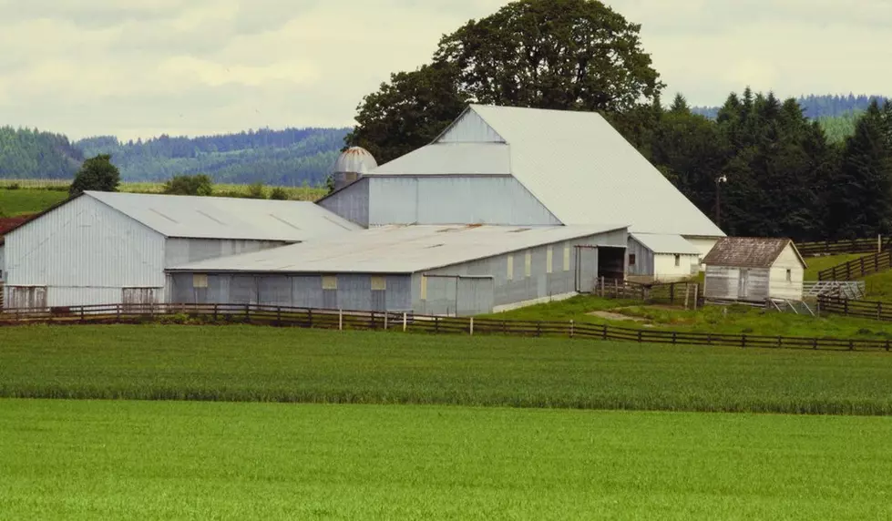 House OKs Amendment Banning Adversaries From Purchasing Farmland