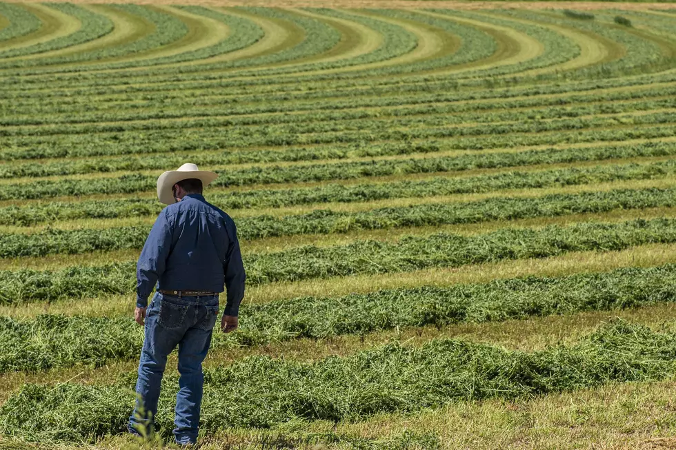 Grassley Presses Administration on New Rural Mental Health Law