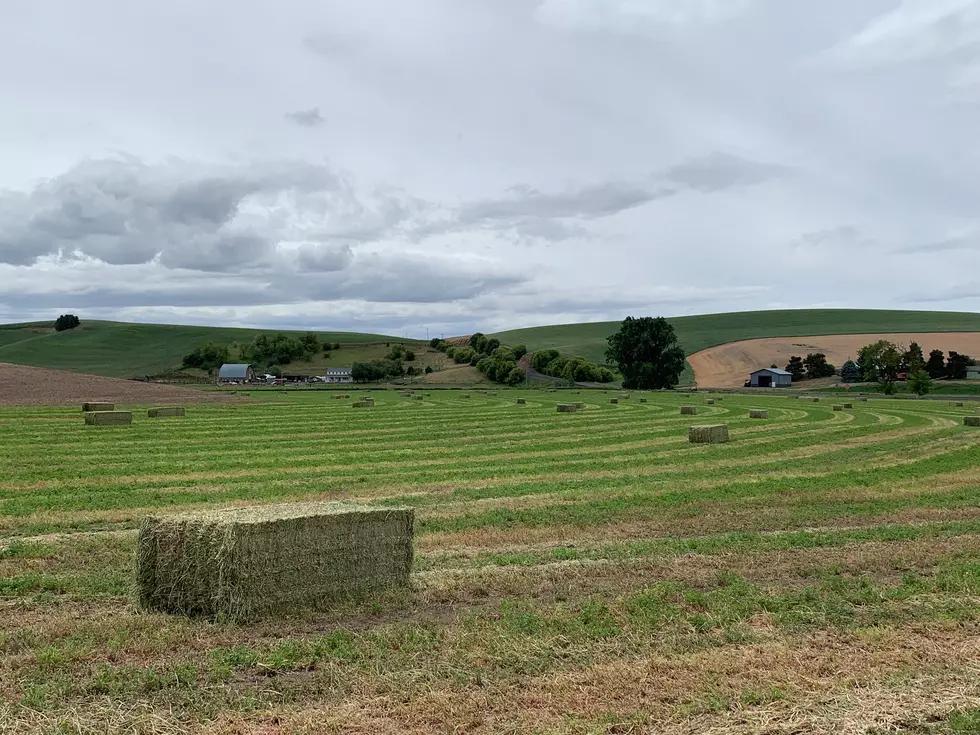 Newhouse: Doge Cuts Are Concerning For Farm Country