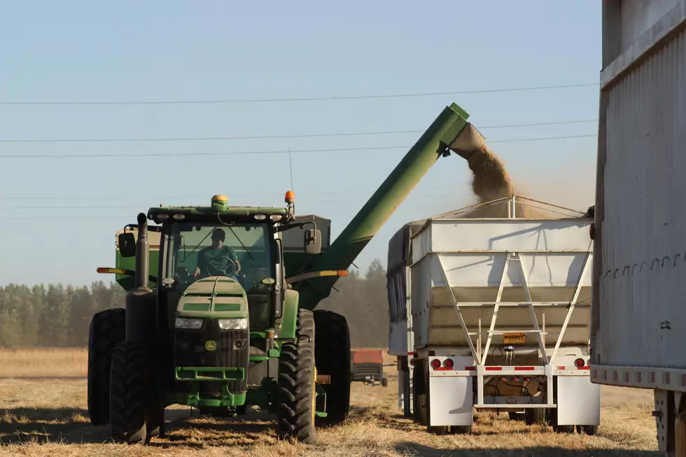 Chumrau: Tariffs Would Have A Direct Impact On NW Growers