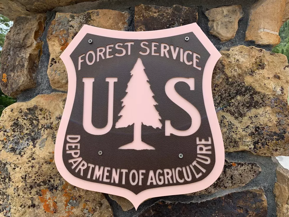 Visiting The National Forest? Know Before You Go.