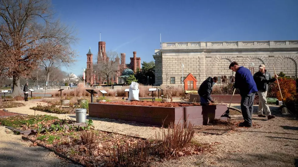 Urban Agriculture A Growing Priority For USDA