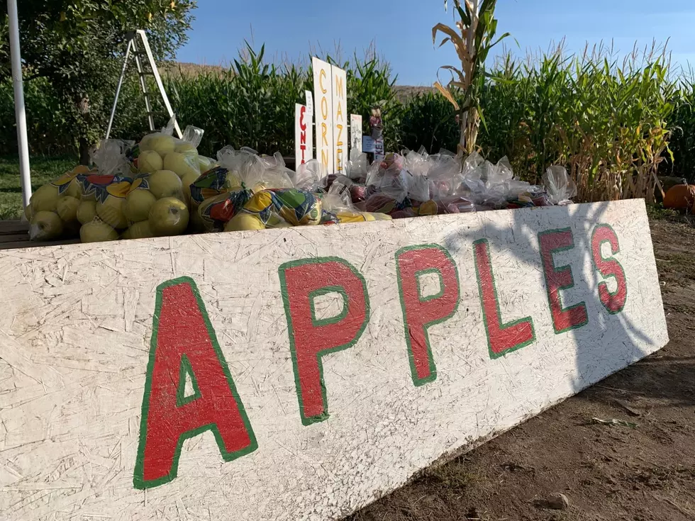 Focus On Fruit: Washing Apple Update For October 2025