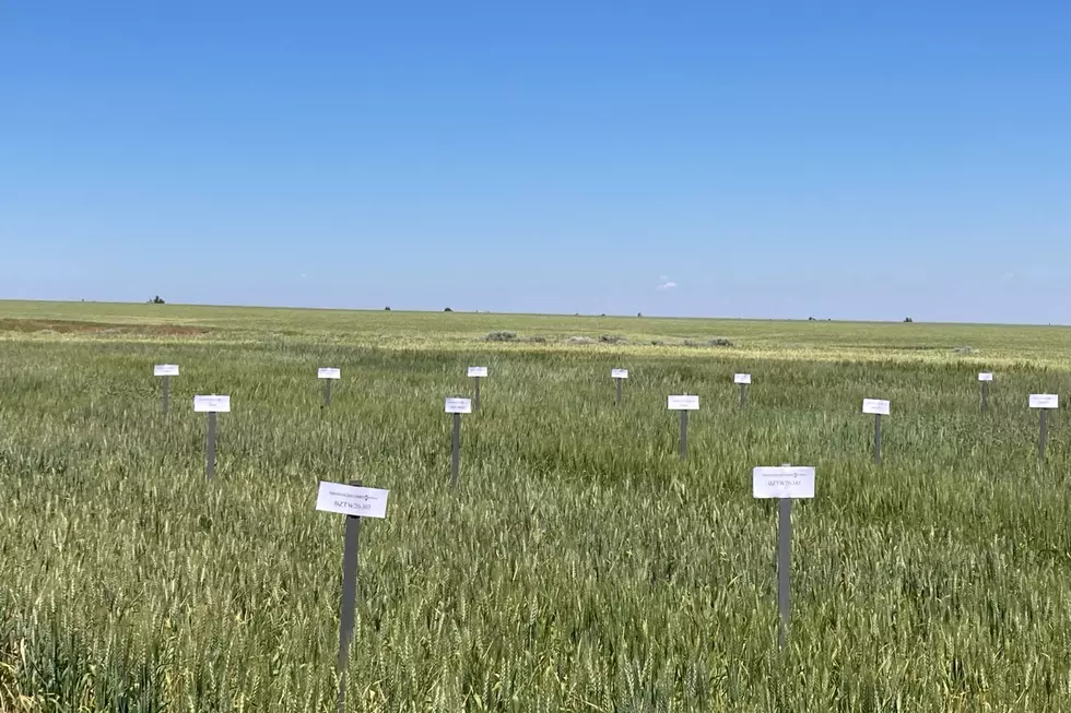 Interview: The Importance of Farmer Feedback with Andy Juris