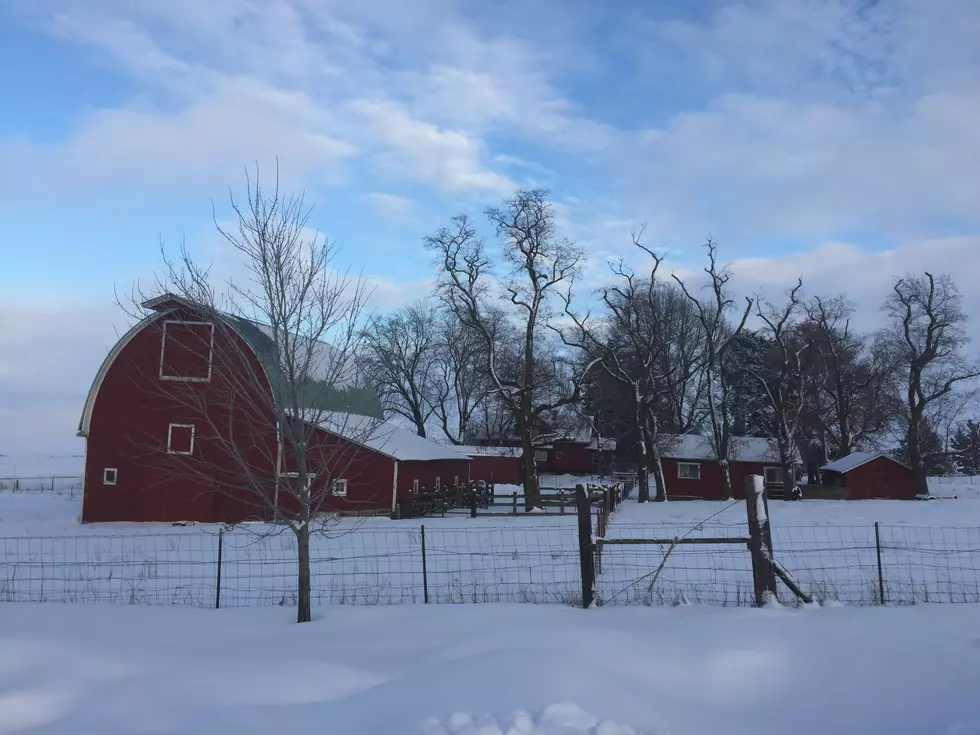 Dolcini Hopeful D.C. Will Make Farmers A Priority In 2026