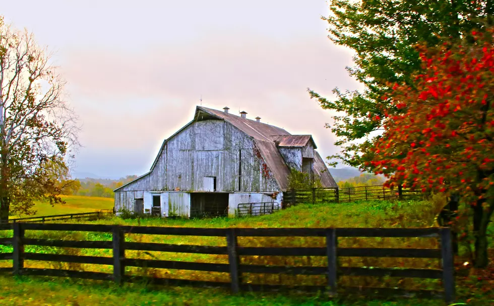 AFBF Applauds Passage Of One Big Beautiful Bill
