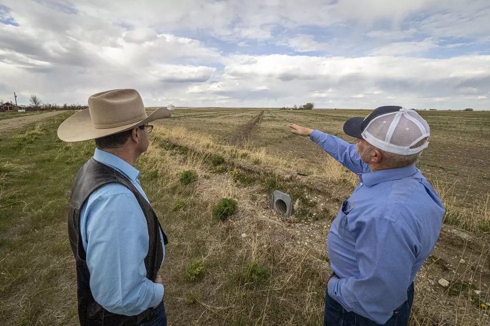 Projected Farm Income Remains Down For FY24
