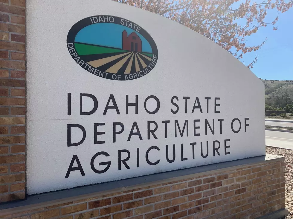Idaho’s Onion Cull Deadline Fast Approaching