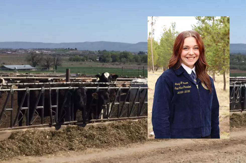 Future of Farming: The Loss Of Production Farmland