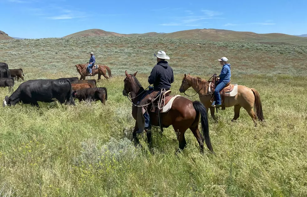 Washington Beef Looks To Remain Connected To Consumers